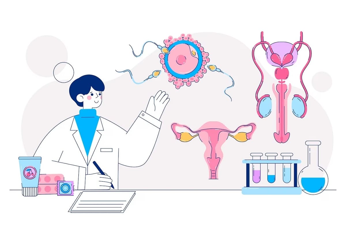 IVF or IUI: Which is a Better Option for You?