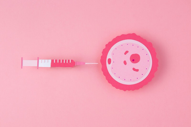 Embryo Freezing or Cryopreservation in India: Process, Benefits, Cost, and More