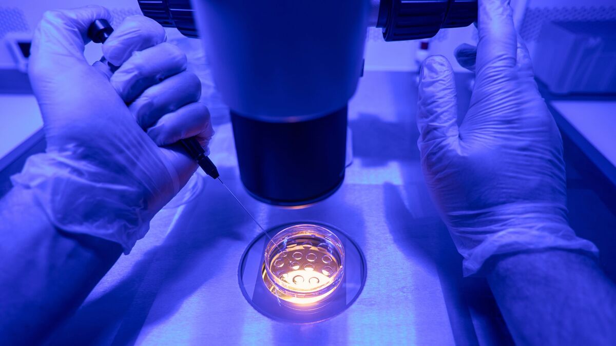 Embryo Grading Process in IVF Treatment: Techniques and Criteria