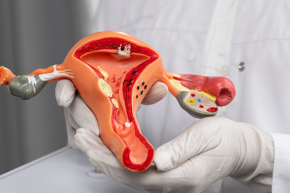 How to Increase Endometrial Thickness for Successful IVF?