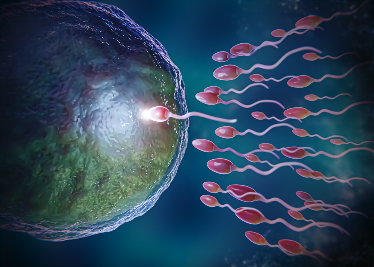Asthenozoospermia Explained: Symptoms, Causes & Treatment Options