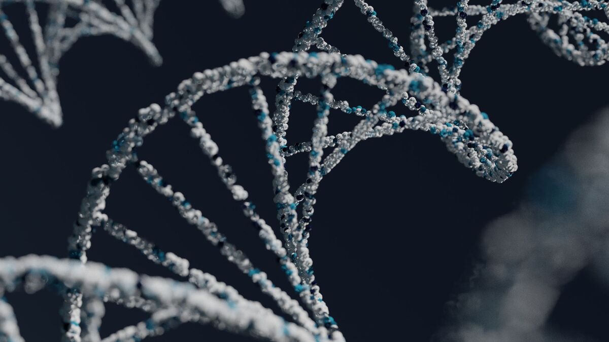 What is DFI (DNA Fragmentation Index of Sperm)?